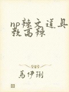np辣文道具调教高辣