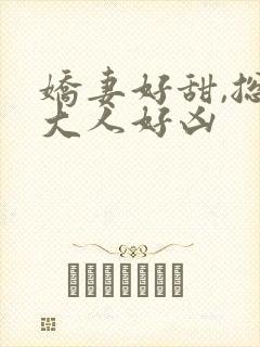 娇妻好甜,总裁大人好凶封面