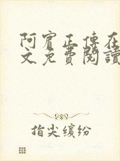 阿宾正传在线全文免费阅读无删减