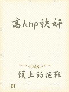 高hnp快奸