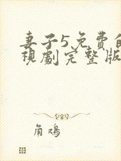 妻子5免费的电视剧完整版封面