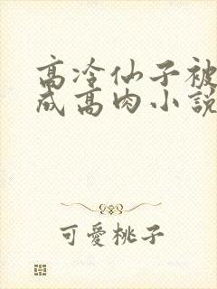 高冷仙子被调教成高肉小说