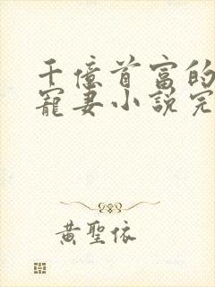 千亿首富的新欢宠妻小说完整版大结局