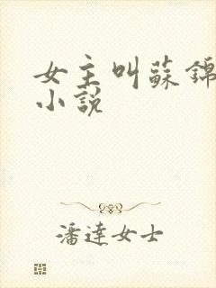 女主叫苏锦时的小说