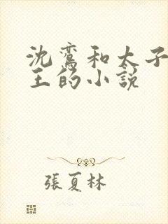 沈鸾和太子摄政王的小说