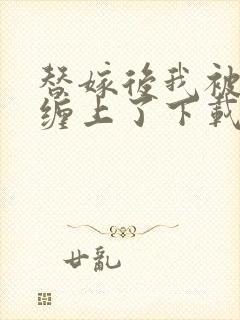 替嫁后我被大佬缠上了下载txt