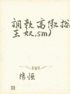 调教高傲总裁(主奴,sm)