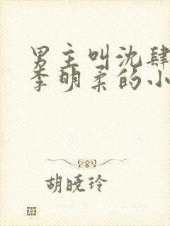 男主叫沈肆女二李明柔的小说