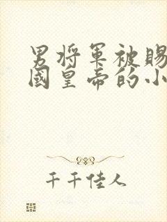 男将军被赐给敌国皇帝的小说封面