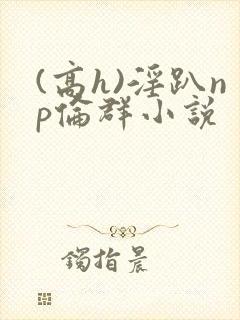 (高h)淫趴np伦群小说