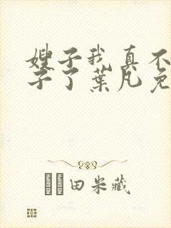 嫂子我真不是傻子了叶凡免费阅读封面