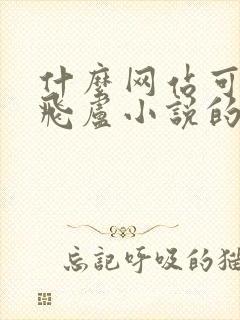 什么网站可以看飞卢小说的付费小说