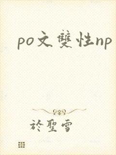 po文双性np