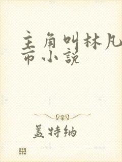 主角叫林凡的都市小说