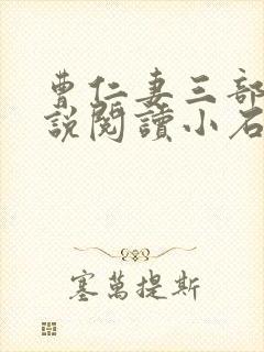 曹仁妻三部曲小说阅读小石