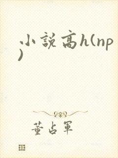 小说高h(np)