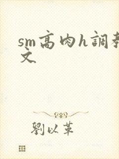 sm高肉h调教文