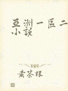 亚洲一区二区 小说