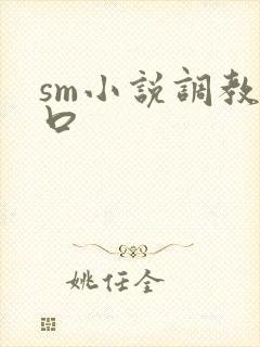 sm小说调教重口