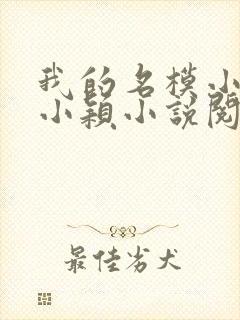 我的名模小娇妻小颖小说阅读