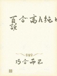 百合高h纯肉小说