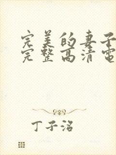 完美的妻子免费完整高清电视剧在线看