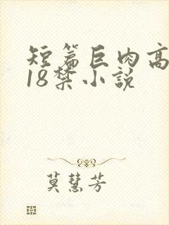 短篇巨肉高h文18禁小说