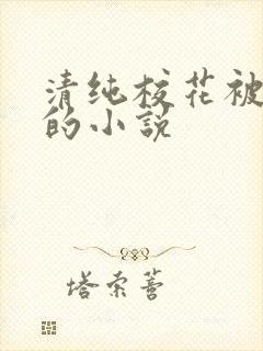 清纯校花被调教的小说