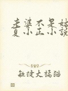 老婆不是姑娘吗夏小正小说最新章节封面