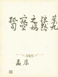 孤寂之狼叶凡与司空嫣然九十章