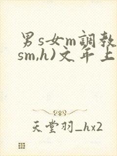 男s女m调教(sm,h)文年上