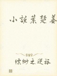 小说叶楚姜君瑶