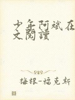 少年阿斌在线全文阅读