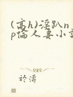 (高h)淫趴np伦人妻小说封面