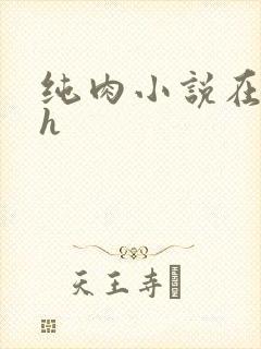 纯肉小说在线高h