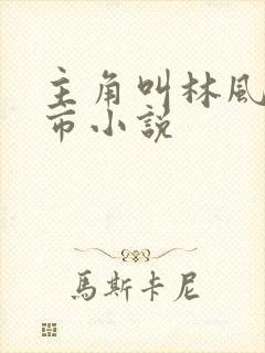 主角叫林风的都市小说