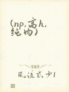 (np,高h,纯肉)封面