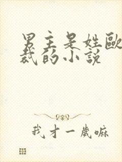 男主是姓欧的总裁的小说封面