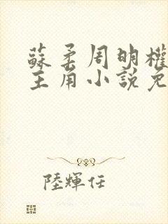 苏柔周明权赵刚主角小说免费阅读