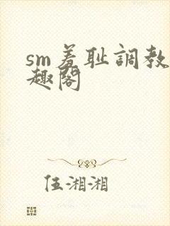 sm羞耻调教笔趣阁封面