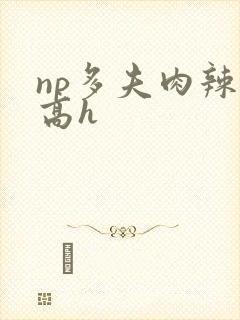 np多夫肉辣文高h