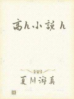 高h小说 h