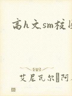 高h文sm校园