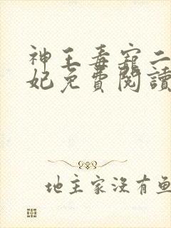 神王毒宠二嫁王妃免费阅读全文封面