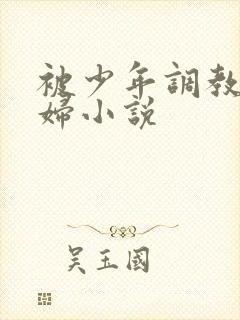 被少年调教的熟妇小说