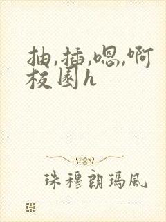 抽,插,嗯,啊校园h