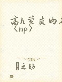高h荤爽肉欲文〈np〉
