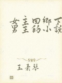 女主回乡下遇到男主的小说