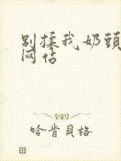 别揉我奶头嗯啊网站