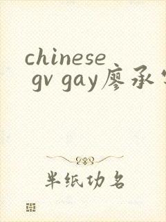chinese gv gay廖承宇